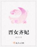齐妃历史