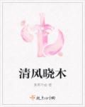 晓风清月