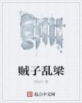 乱臣贼子是什么意思