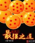 龙珠之最强老师全文免费阅读