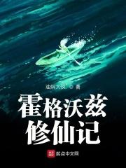 霍格沃兹修仙记TXT