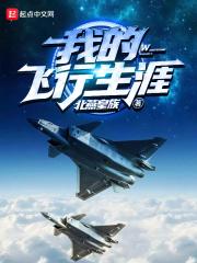 我的飞行生涯电子书