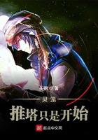 灵笼 最强