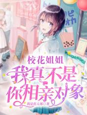 我的校花是姐姐