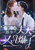一胎三宝秦少夫人娇又猛