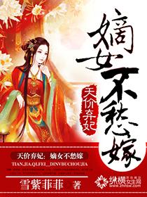 天价弃妃txt