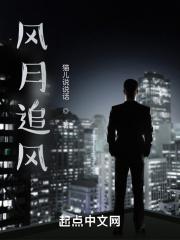 风月试追陪