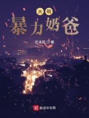 大明暴力奶爸  笔趣阁