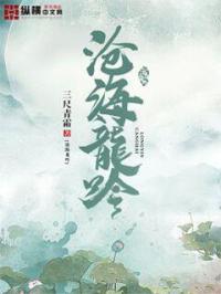 沧海龙吟多少钱出