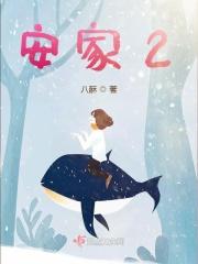 安家2是不是没拍