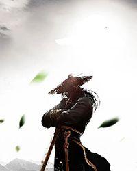 巫师三血魔怎么打