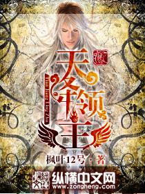 天降领主女主角是谁