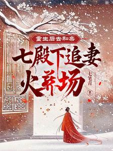 重生后嫁给七王爷