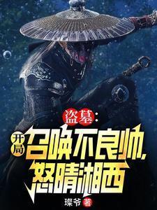 盗墓开局征服怒晴鸡