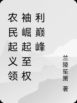 农民起义