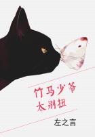 竹马别太宠