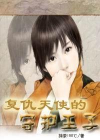 复仇天使v2