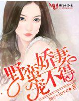 野蛮老公放肆宠