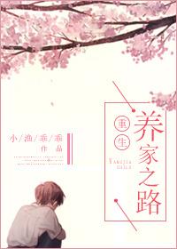 重生之养家之路讲的什么