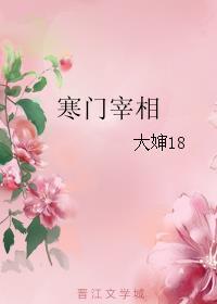 寒门宰相书评